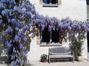 saint jean de thurigneux