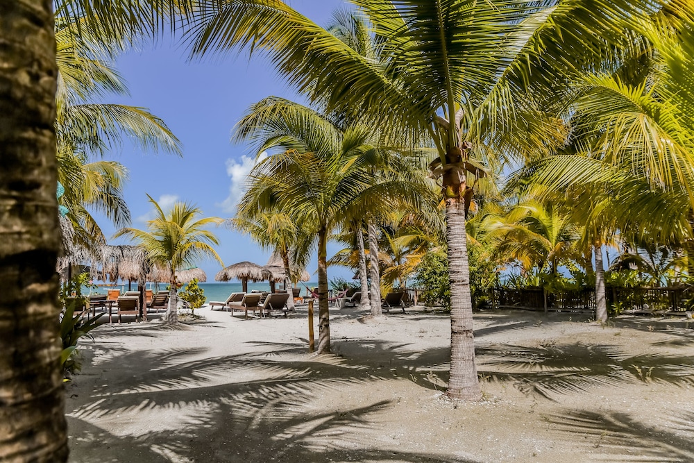 isla holbox
