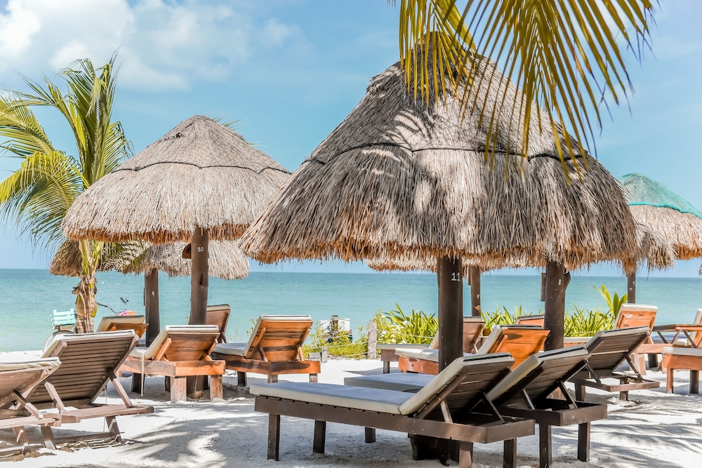zomay beachfront hotel holbox