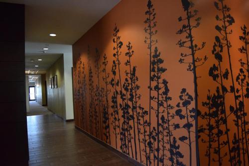Mainstay Suites Lufkin,Nacogdoches>>Lufkin,3 star