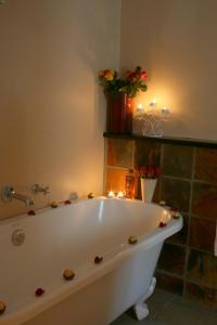 evertsdal guesthouse