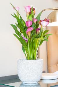 evertsdal guesthouse