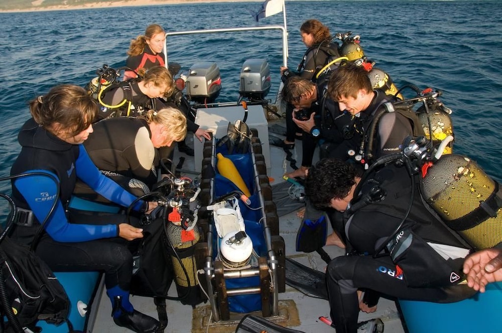 coral divers
