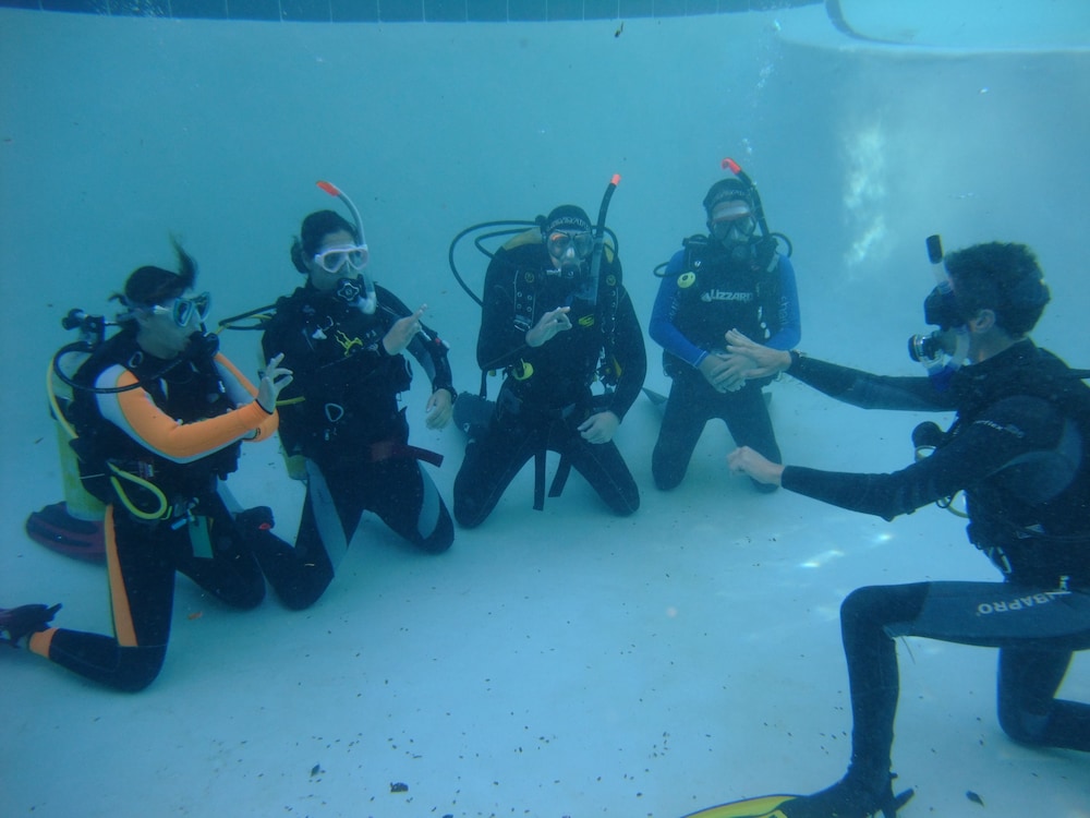 coral divers