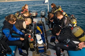 coral divers