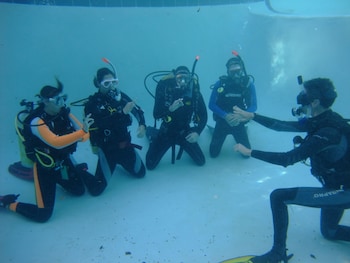 coral divers