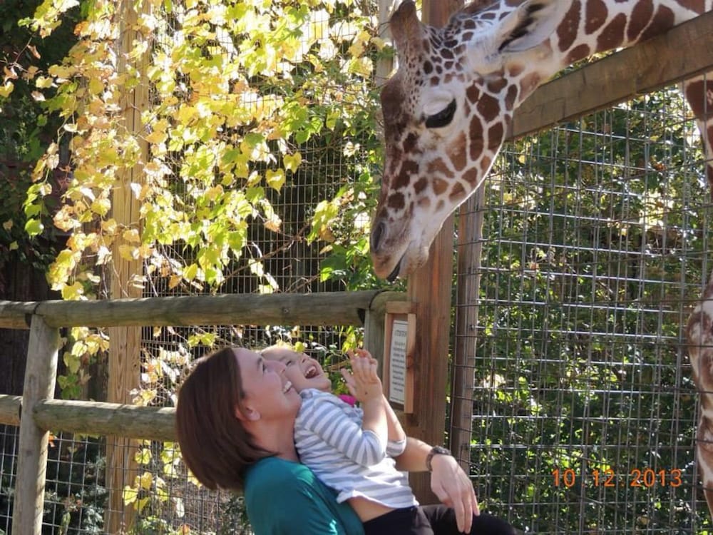 candlewood suites grove city outlet center by ihg