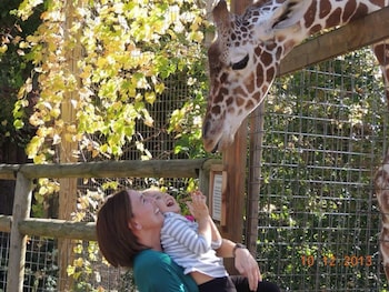 candlewood suites grove city outlet center by ihg