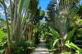 coco palm beach resort and spa