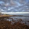 first group perna perna mossel bay