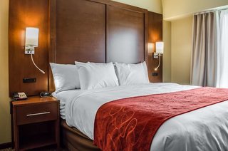 Comfort Suites Manheim - Lancaster,East Hempfield Township>>Cornwall,3 star