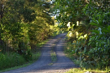 LandMark-Image