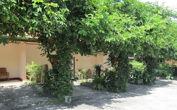 oasis resort
