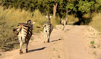 fathala wildlife reserve