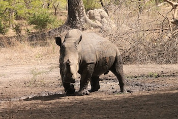 fathala wildlife reserve
