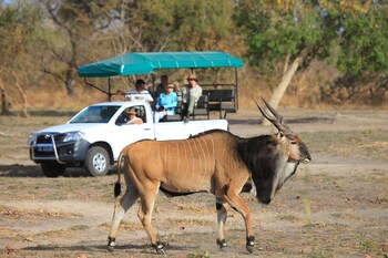 Fathala Wildlife Reserve,In Karang,5 star