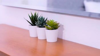 hotel capriccio mare y restaurante