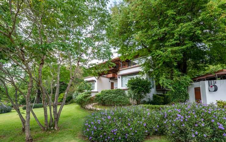 the pig house khao yai