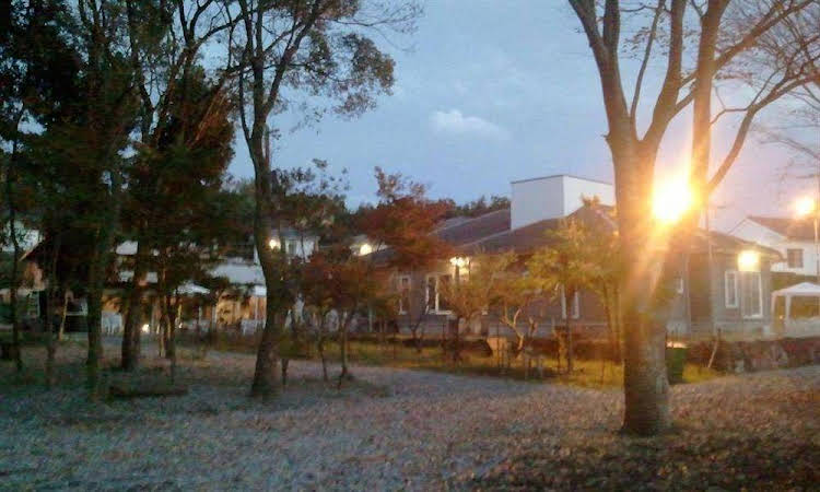 lilac hotels and resort