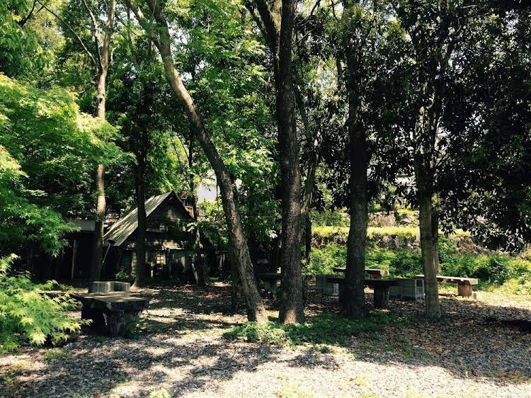 lilac hotels and resort