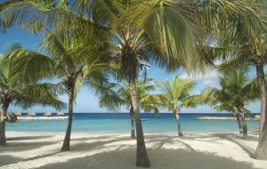 Blue Bay Lodges,Curacao>>Blue Bay,4 star