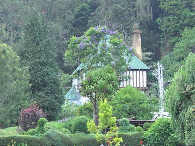 ooty