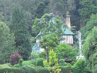 ooty