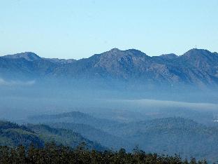 ooty