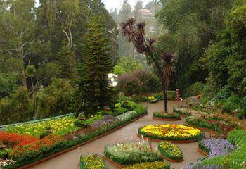 ooty