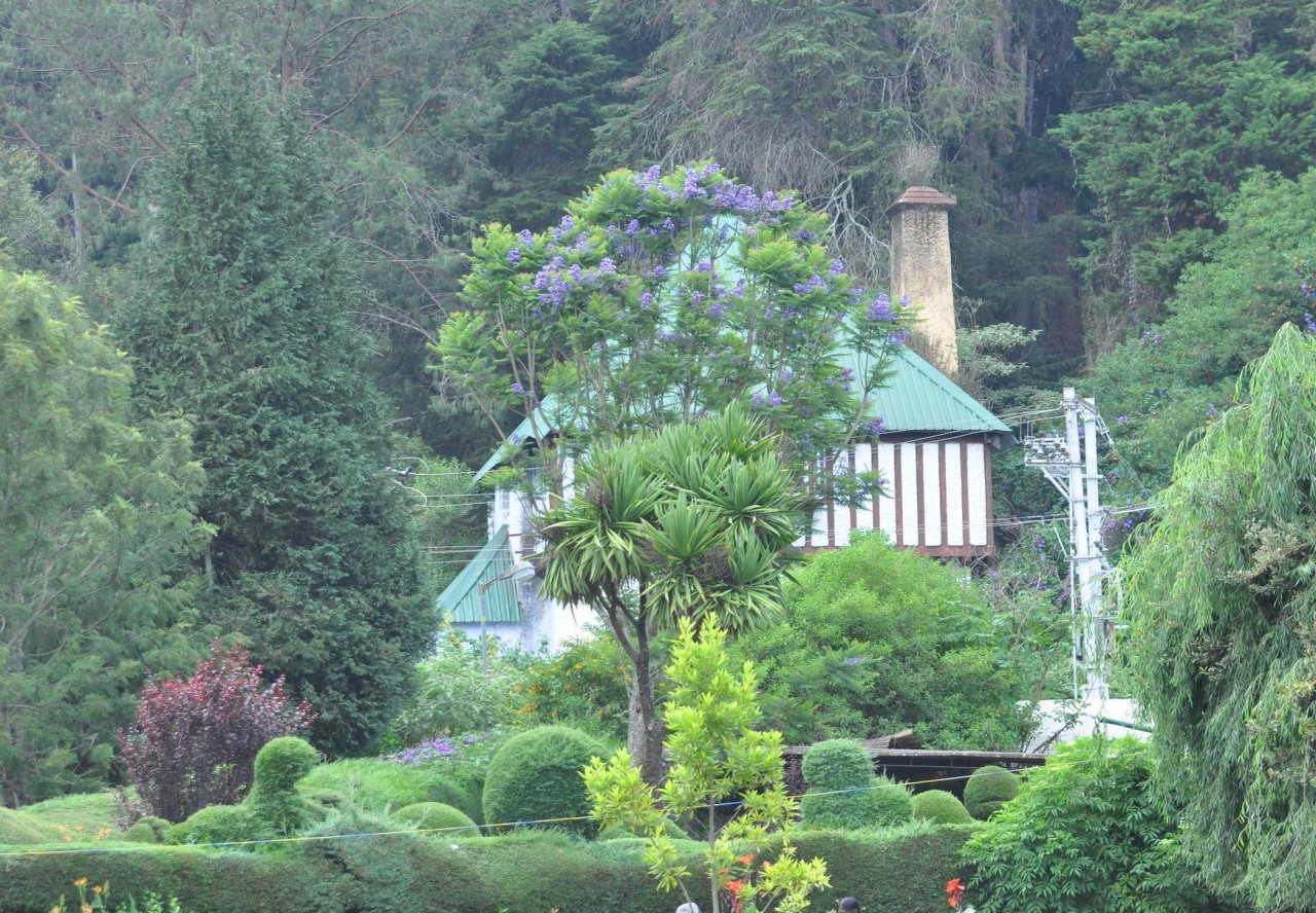 ooty