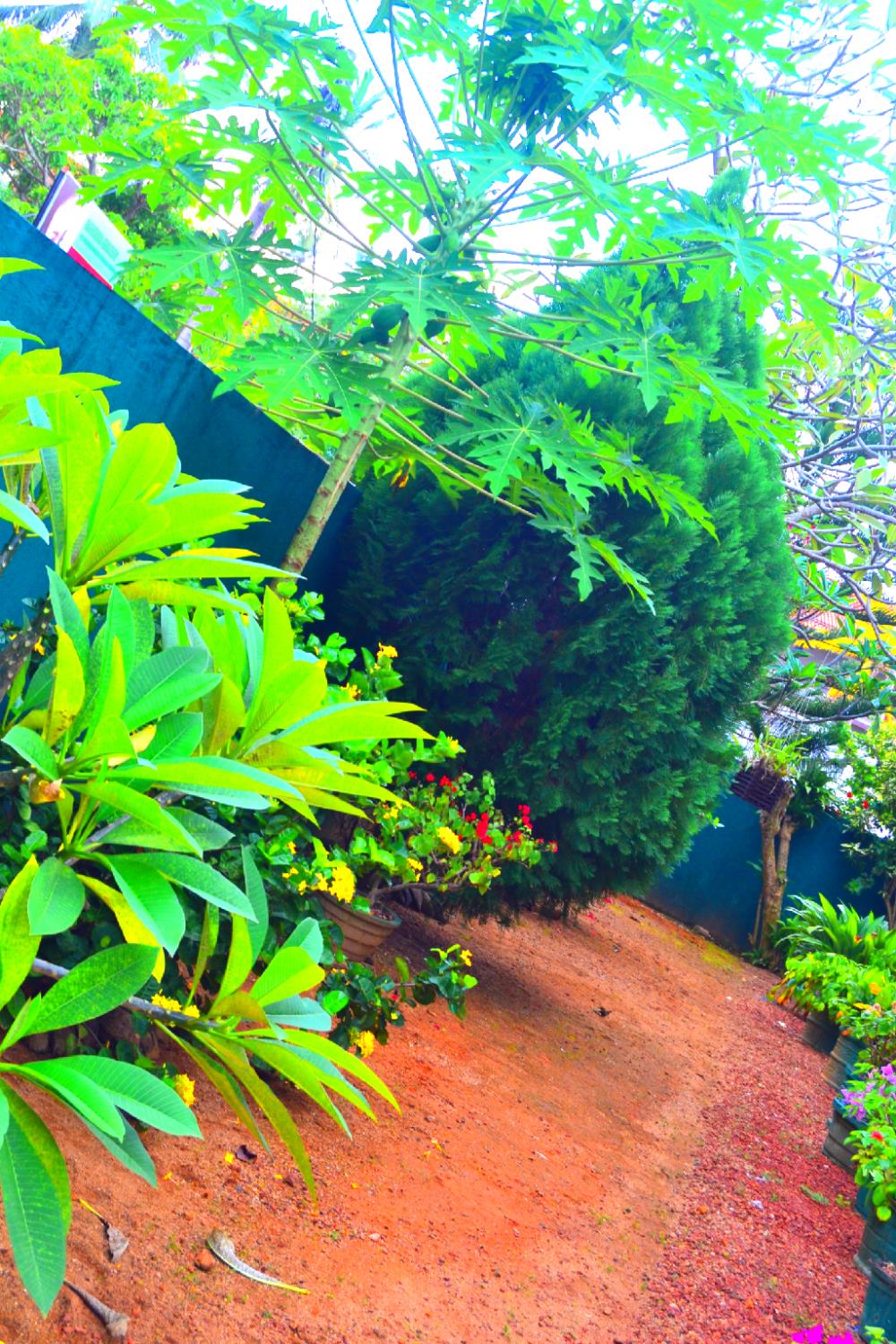 chaya villa guest house