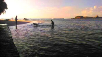 chaya villa guest house