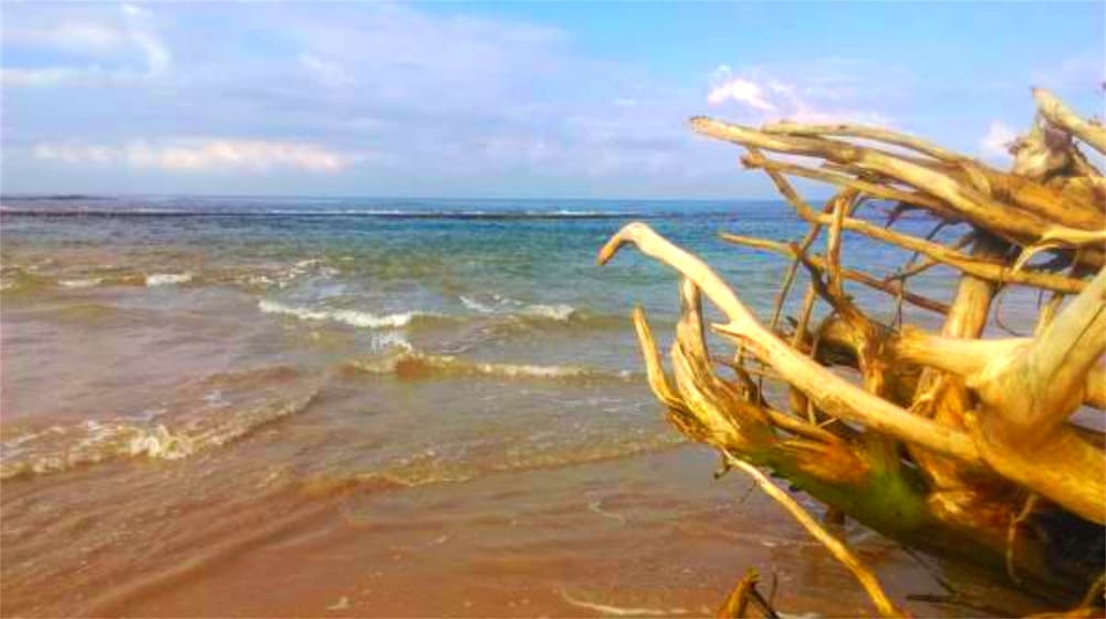 chaya villa guest house