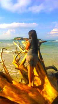 chaya villa guest house