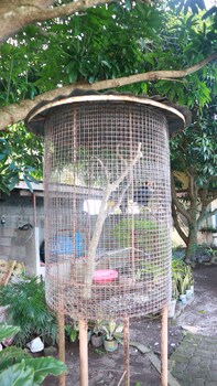 julys haven seaside pension camiguin