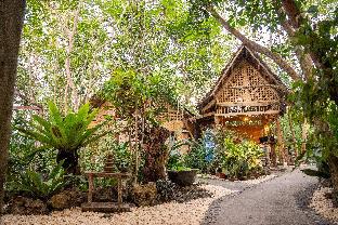 bohol coco farm adults only hostel