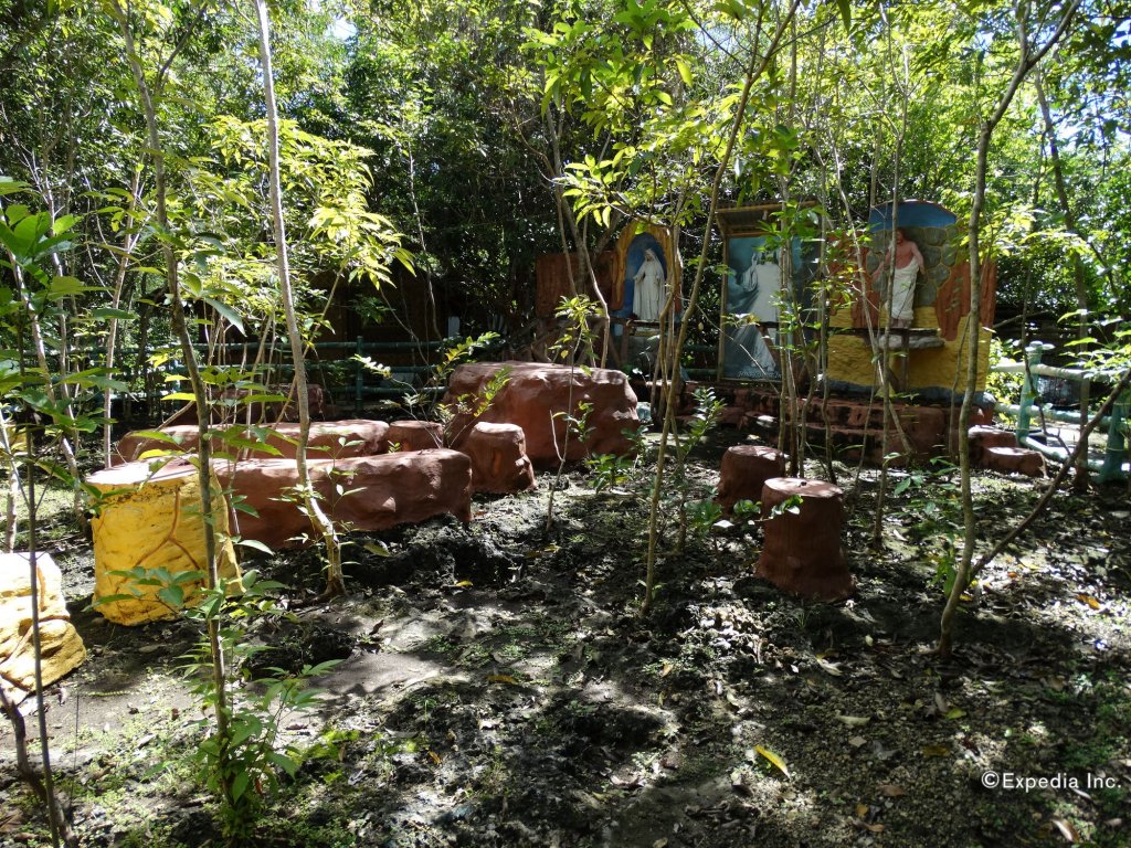 bohol coco farm adults only hostel