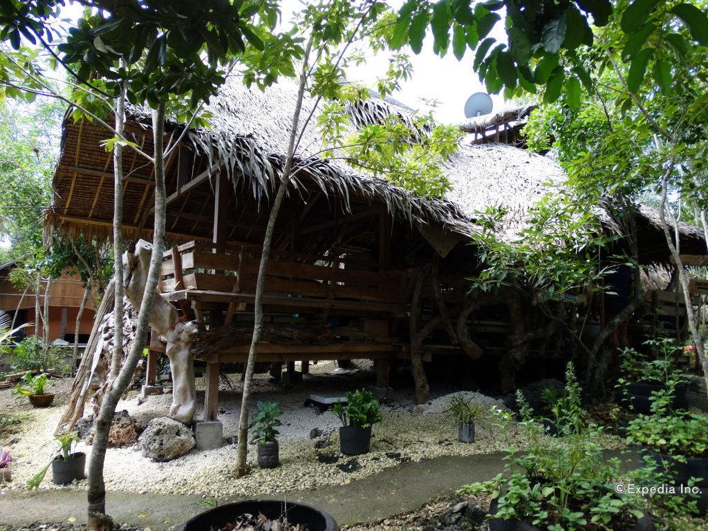 bohol coco farm adults only hostel