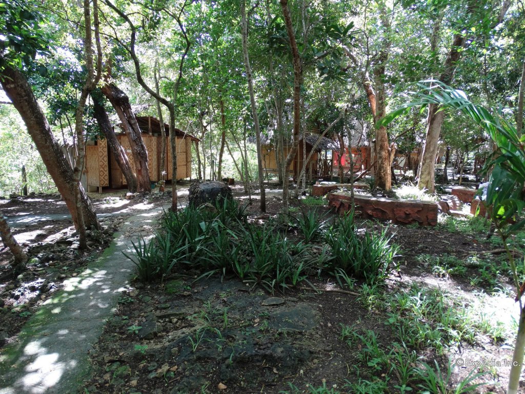 bohol coco farm adults only hostel