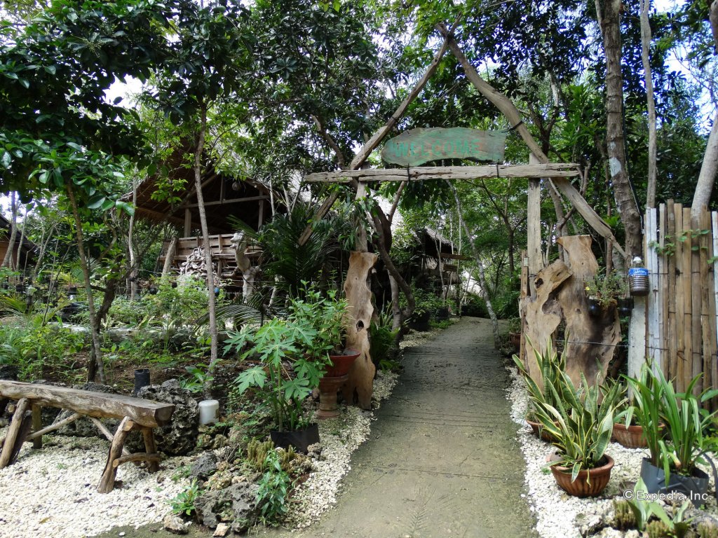 bohol coco farm adults only hostel