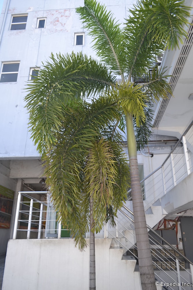 islands stay hotels mactan