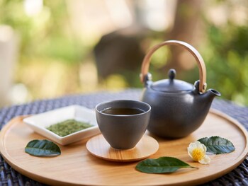 ooedo onsen monogatari premium kaga maruya