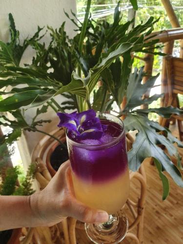 fox and the firefly cottages