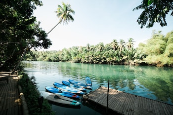 fox and the firefly cottages