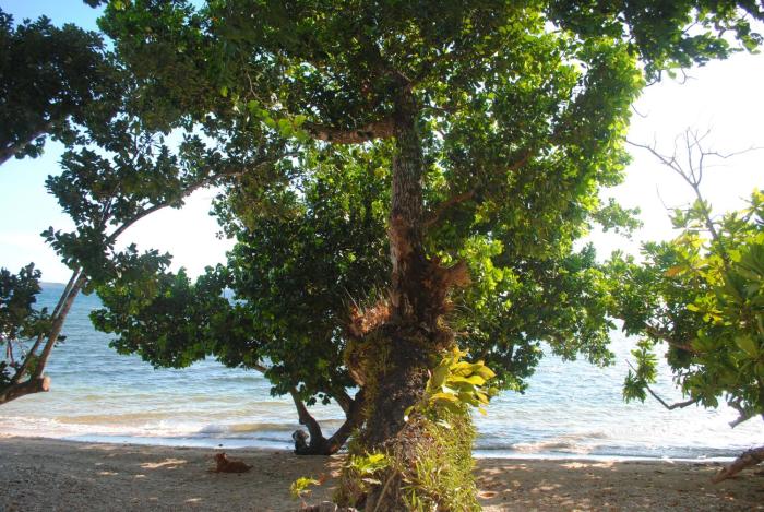 alam indah beach