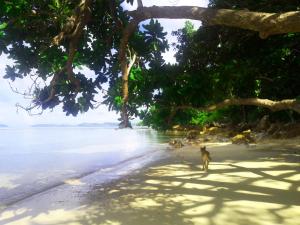 alam indah beach