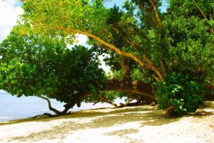 alam indah beach