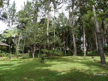 eden nature park and resort