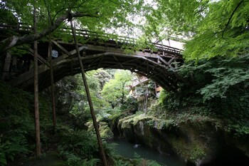 ooedo onsen monogatari premium seiunkaku