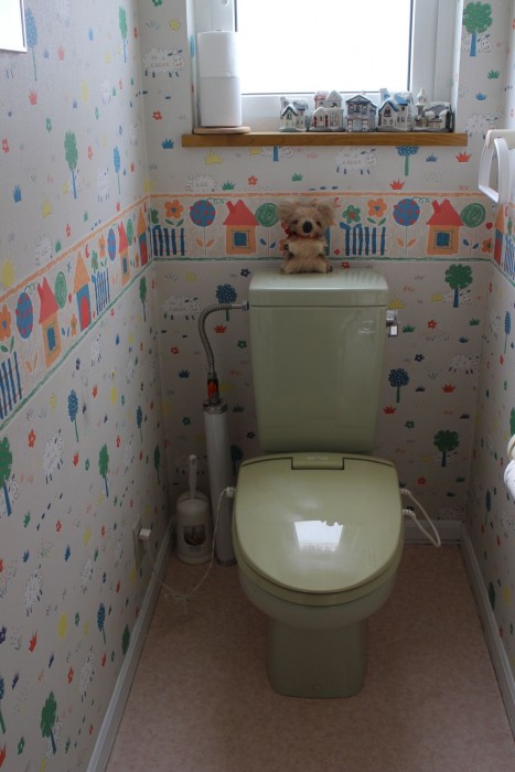 pension hoshi ni negaiwo